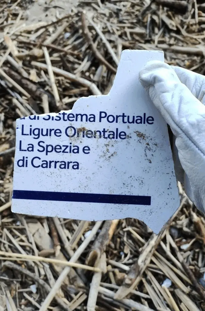 Immagine della giornata