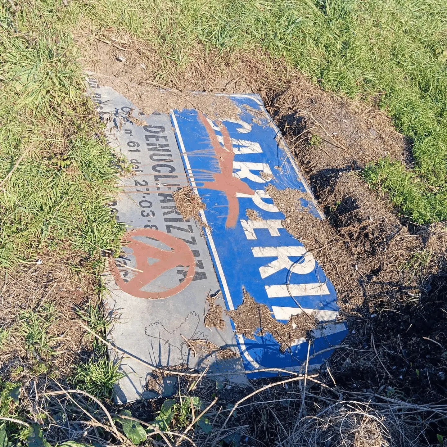 Immagine della giornata