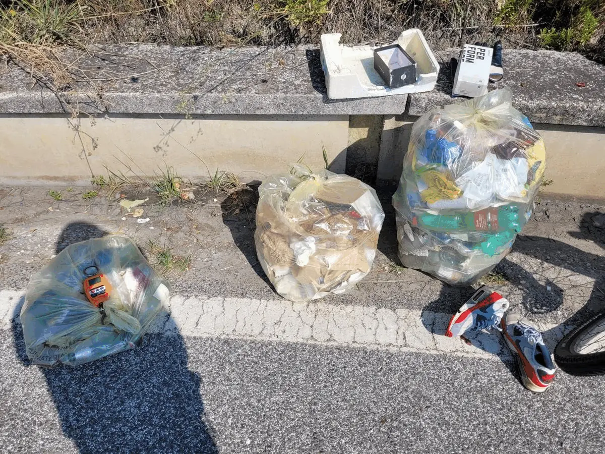 Immagine della giornata
