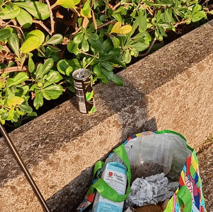 Immagine della giornata