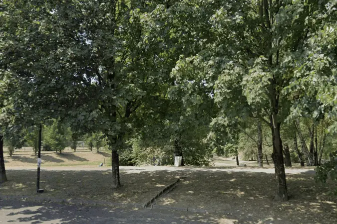 Immagine della giornata