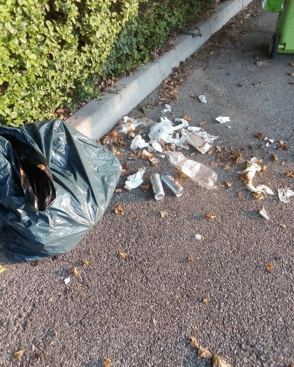 Immagine della giornata
