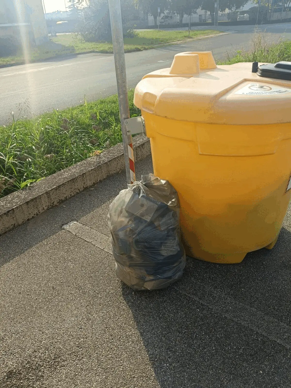 Immagine della giornata