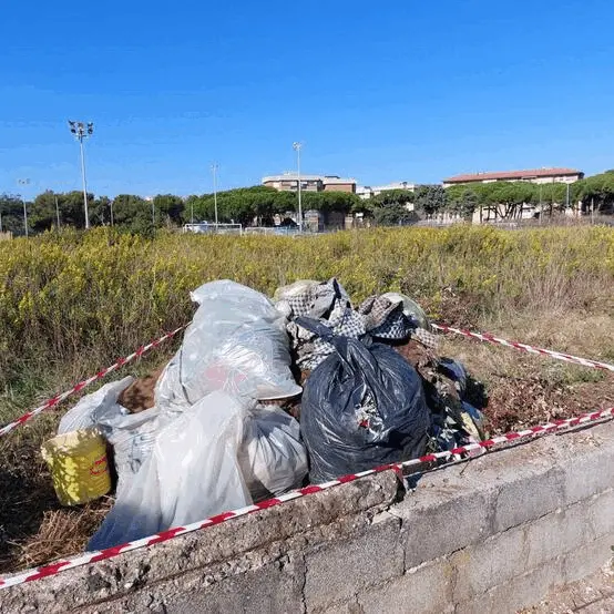 Immagine della giornata