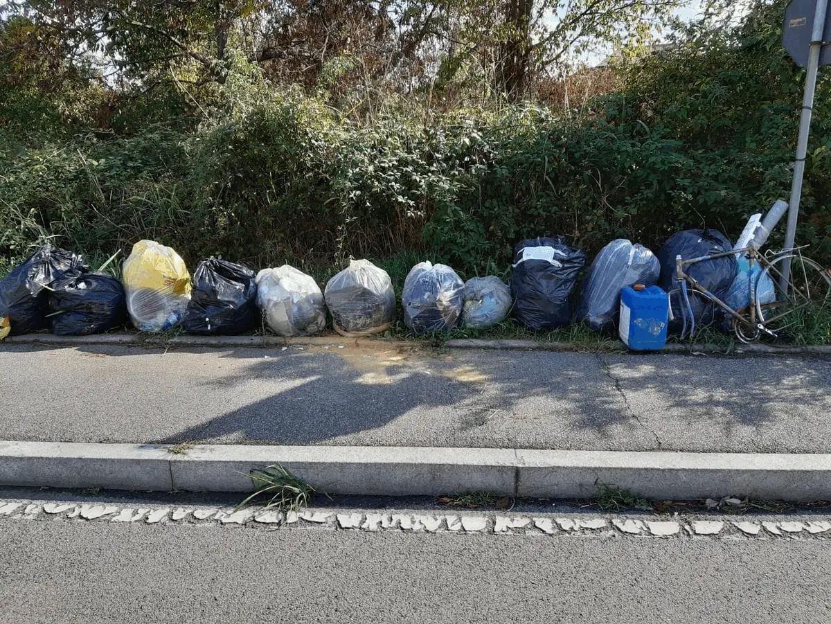 Immagine della giornata