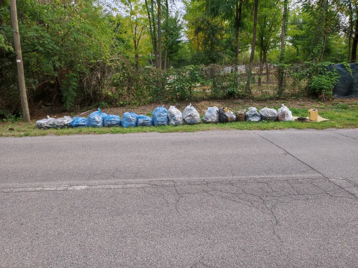 Immagine della giornata