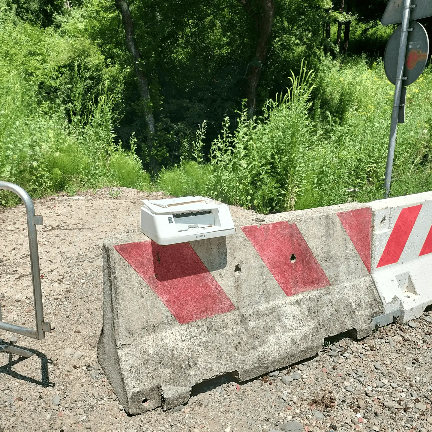 Immagine della giornata
