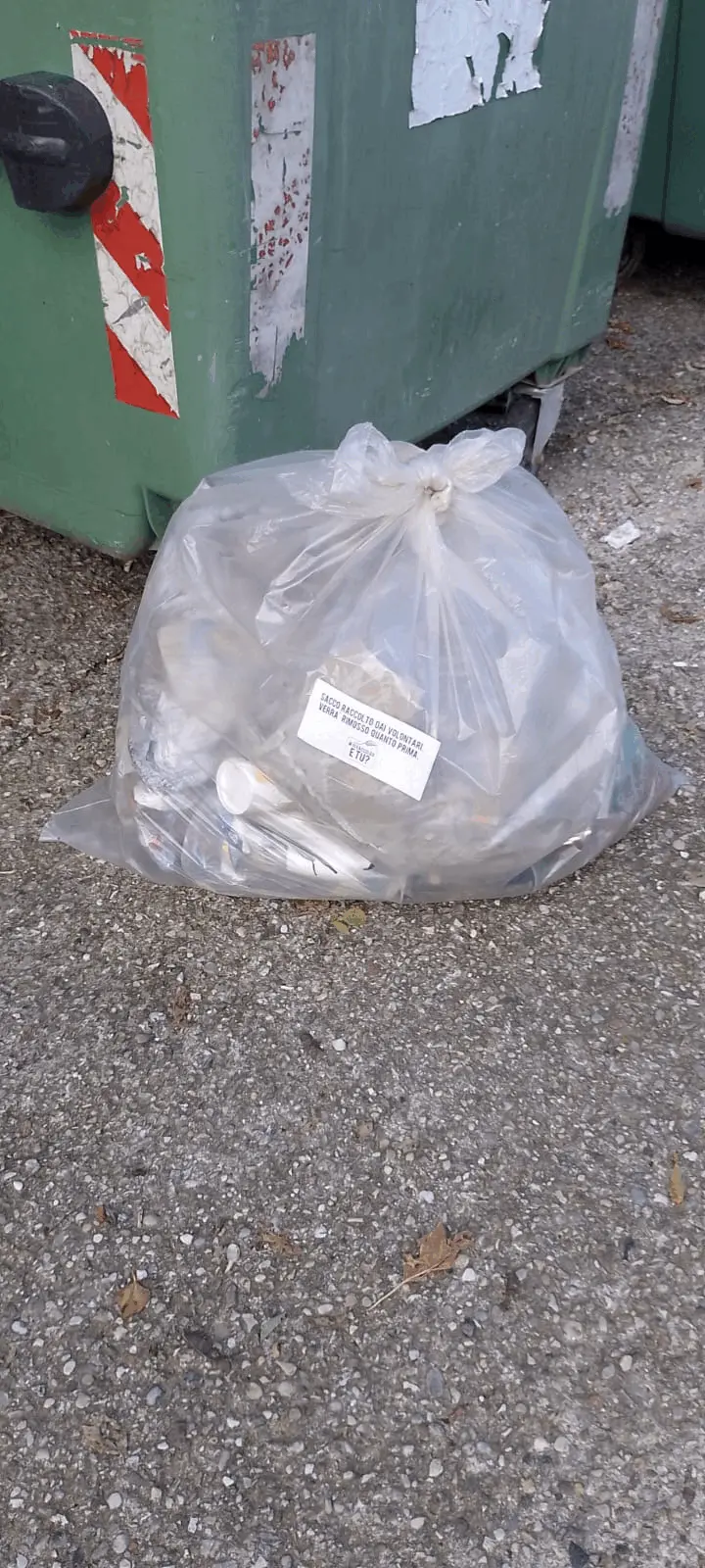 Immagine della giornata