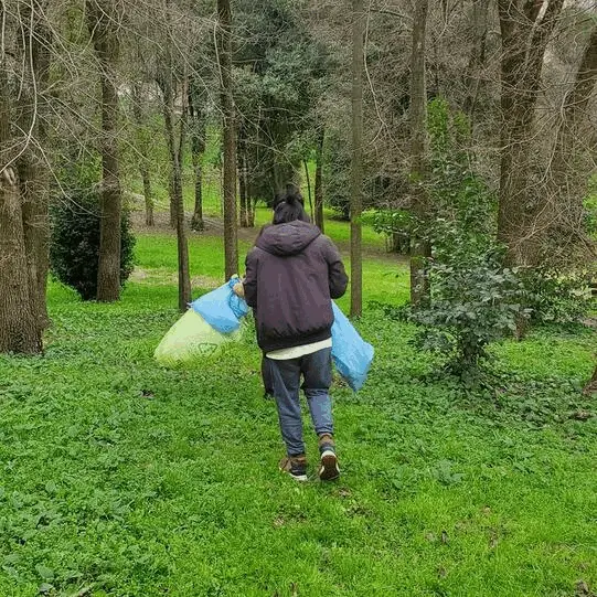 Immagine della giornata