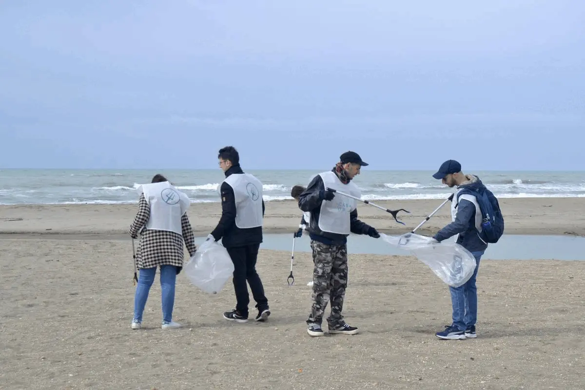 Immagine della giornata