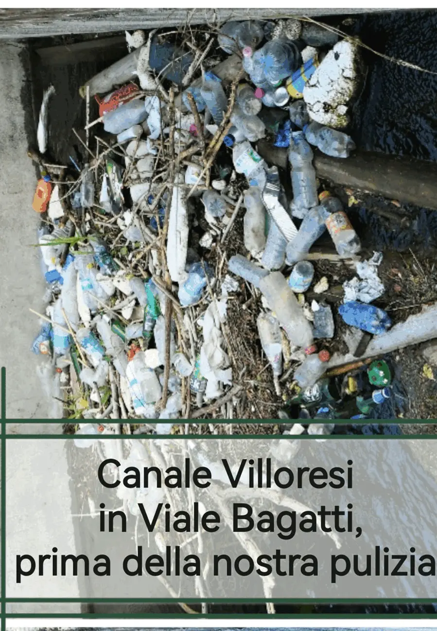 Immagine della giornata