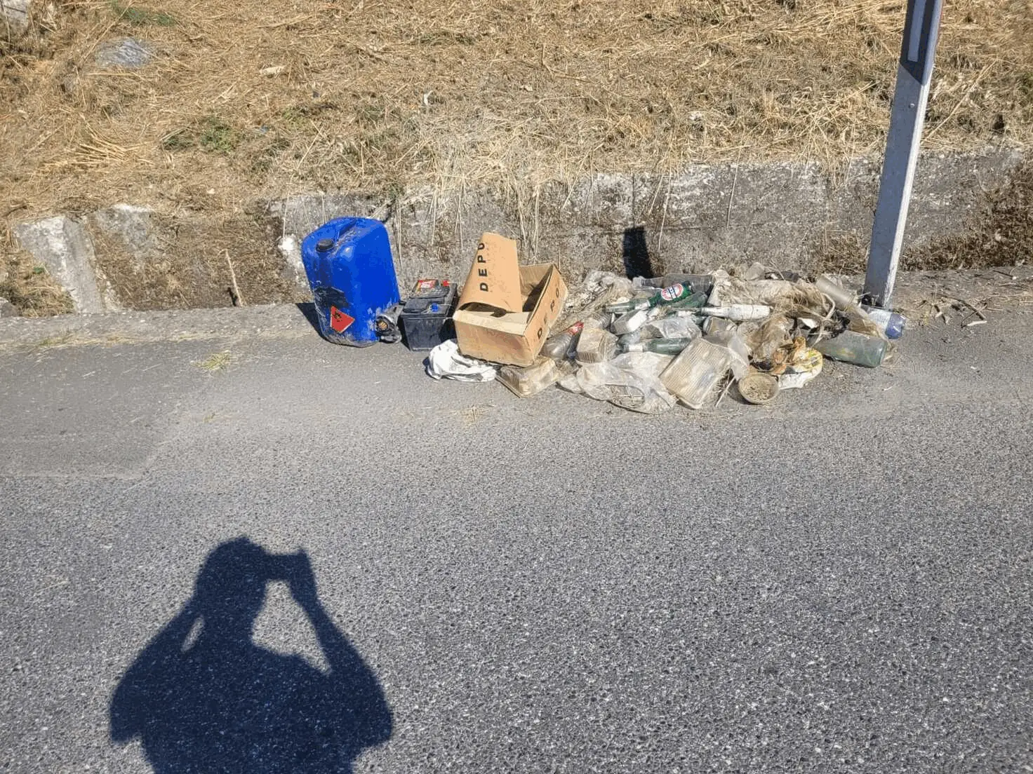 Immagine della giornata