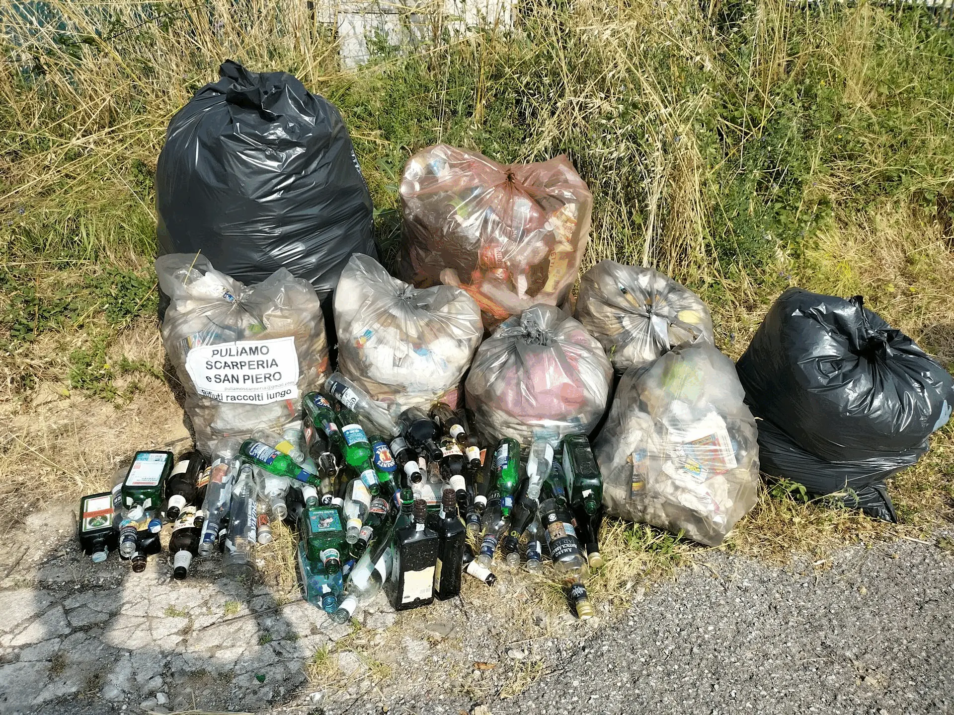 Immagine della giornata