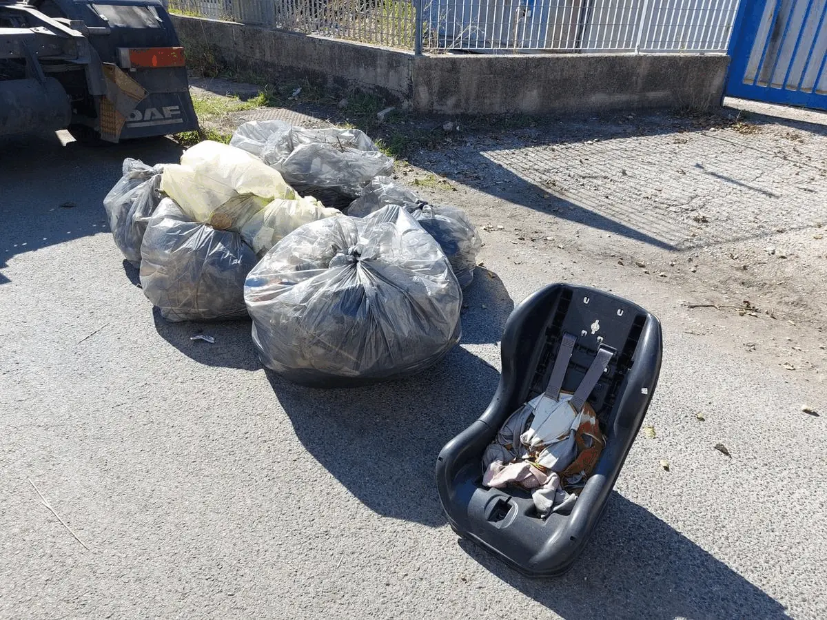 Immagine della giornata