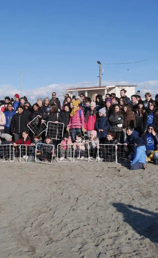 Immagine della giornata