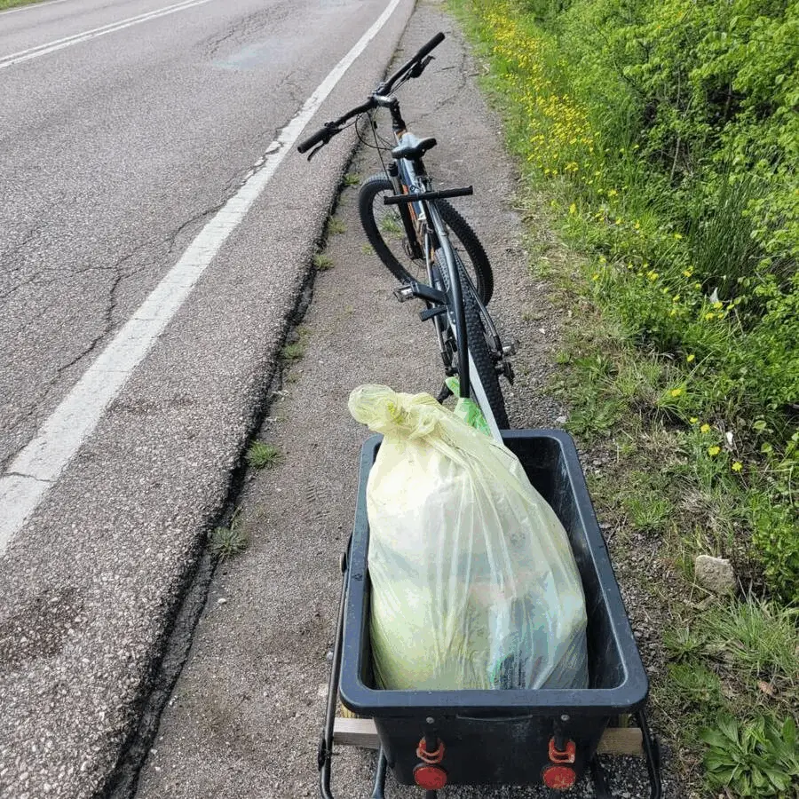 Immagine della giornata