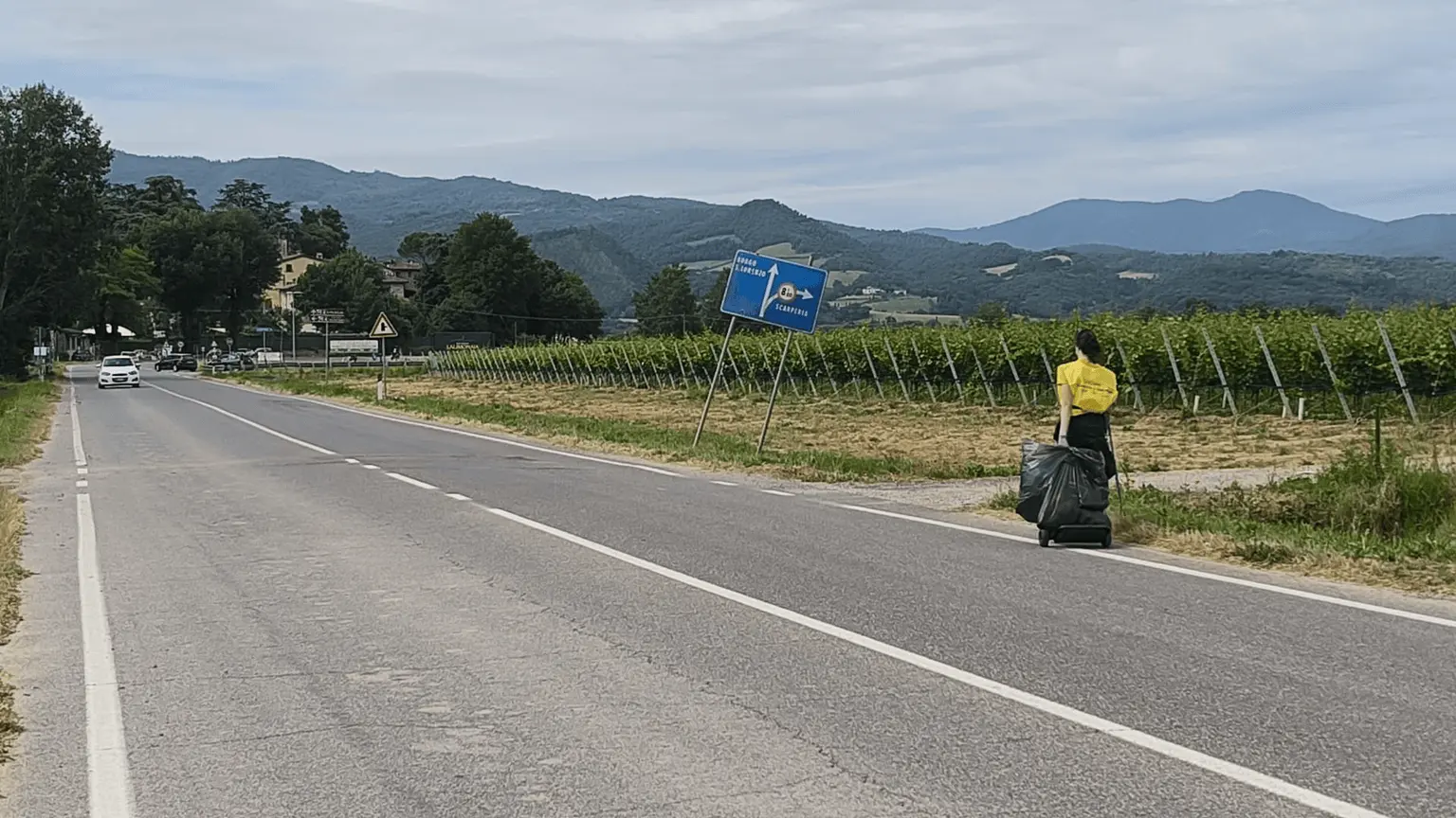 Immagine della giornata