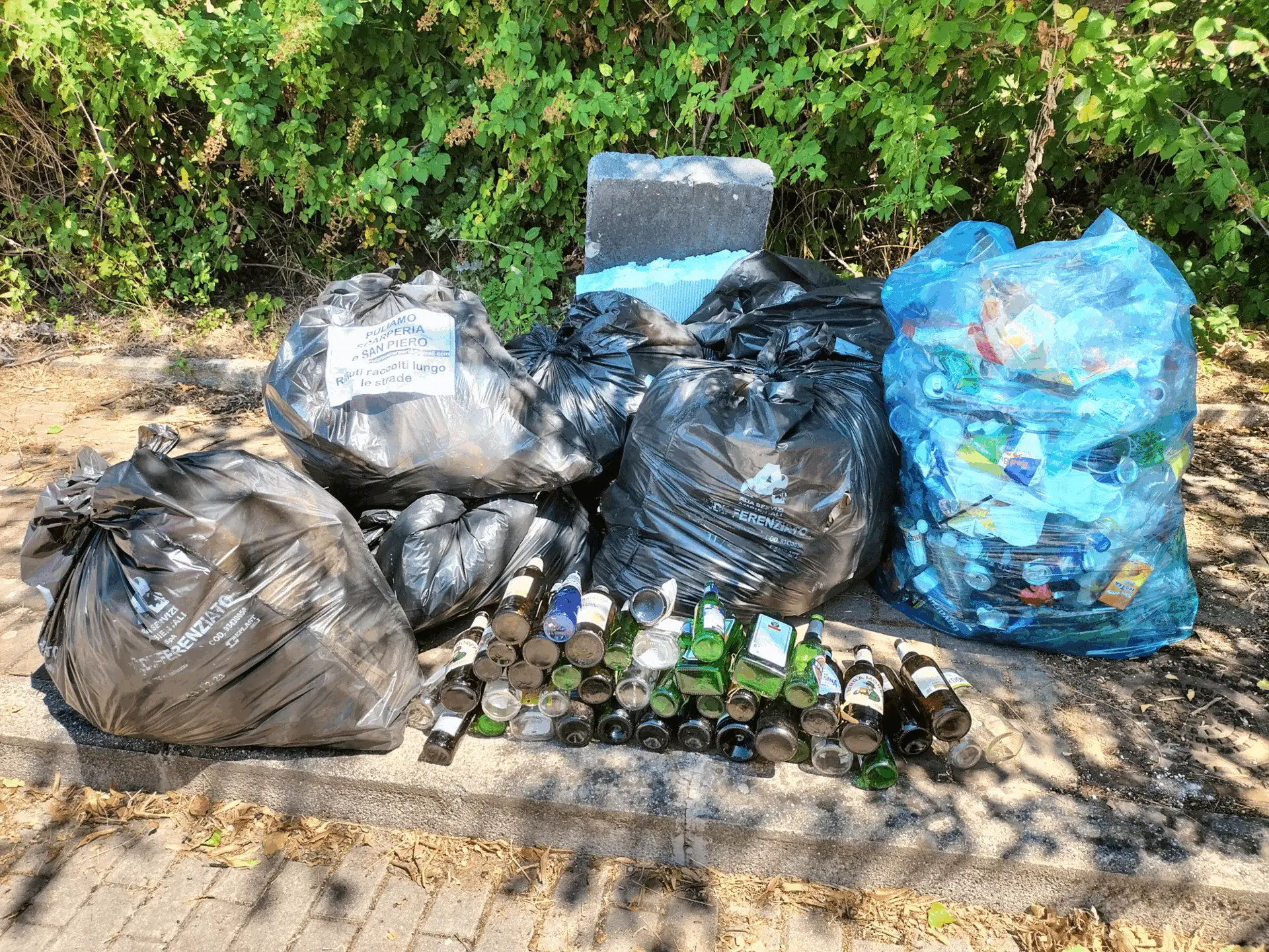 Immagine della giornata