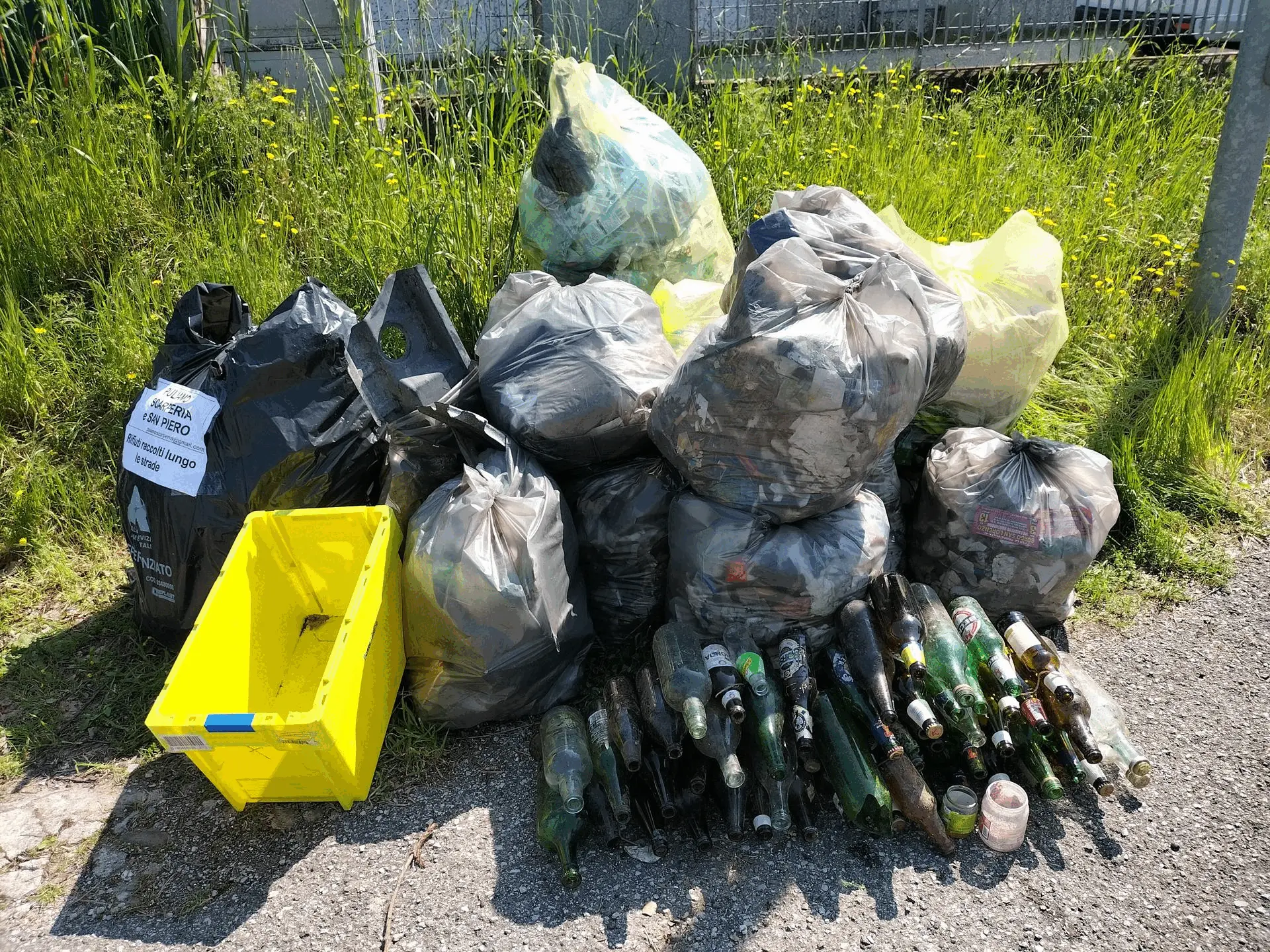 Immagine della giornata