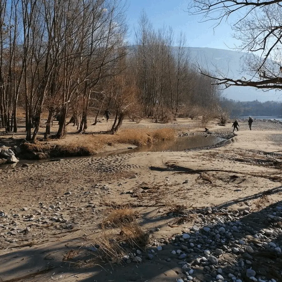 Immagine della giornata