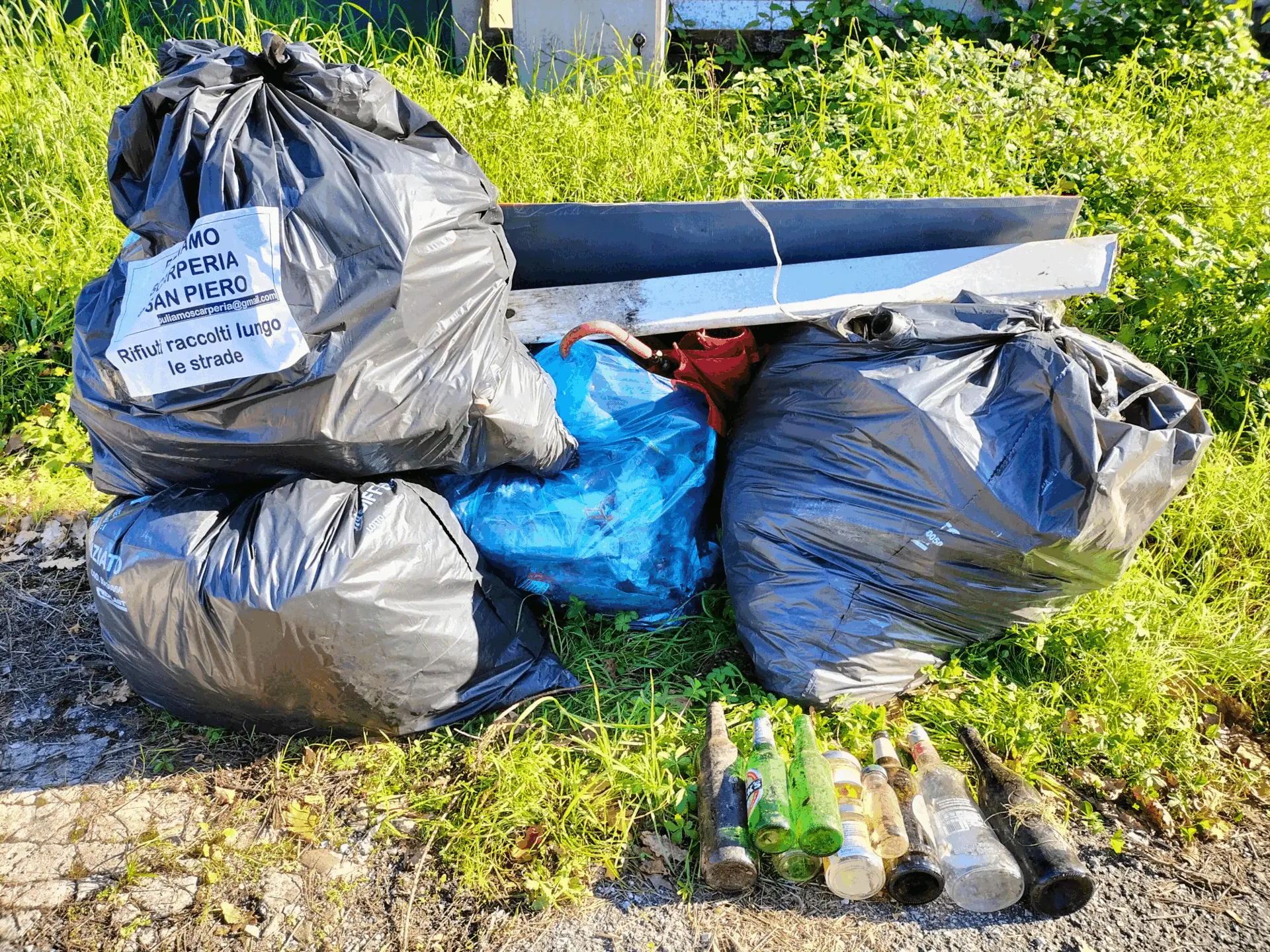 Immagine della giornata