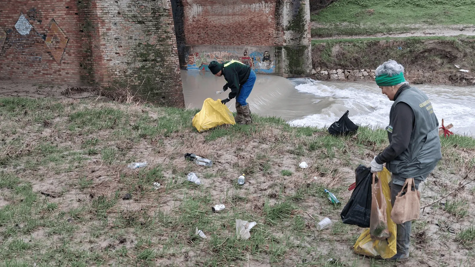 Immagine della giornata