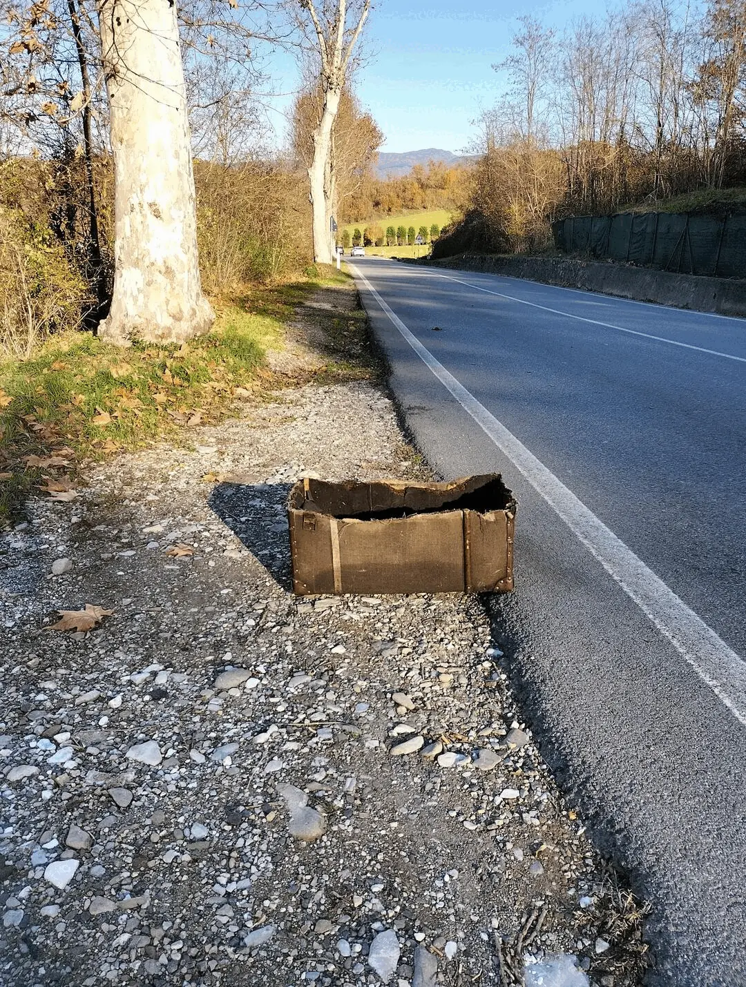 Immagine della giornata