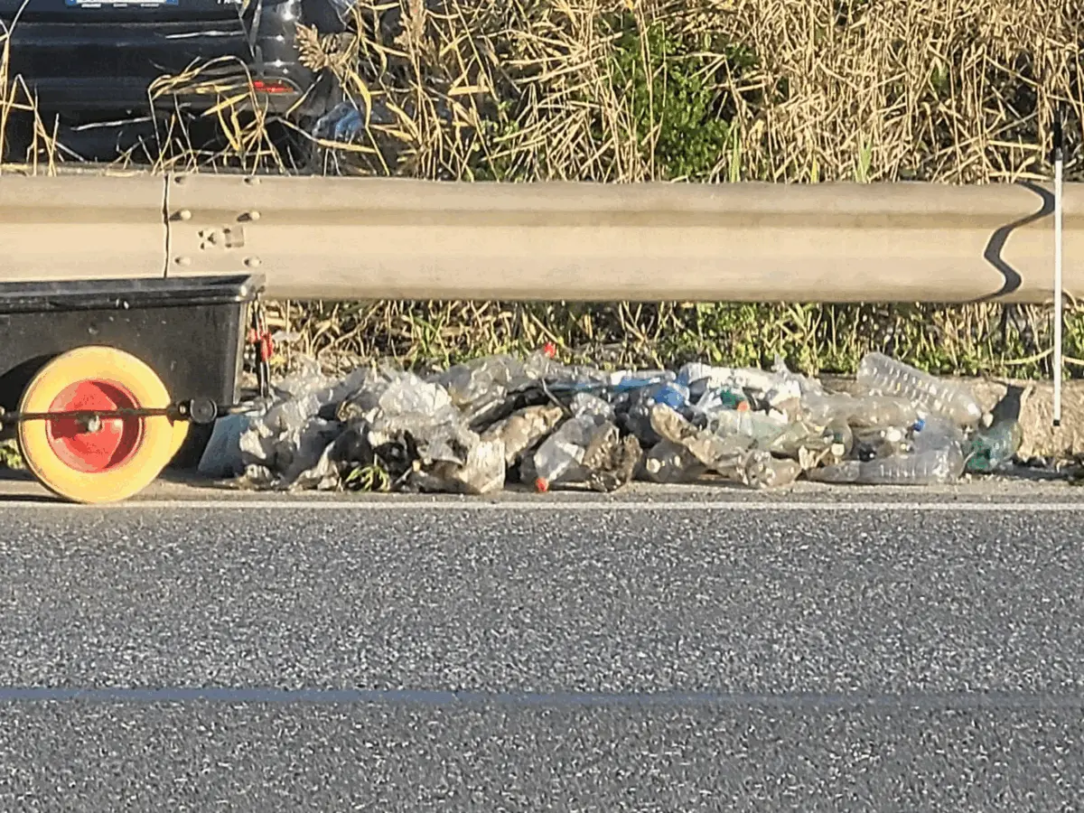 Immagine della giornata