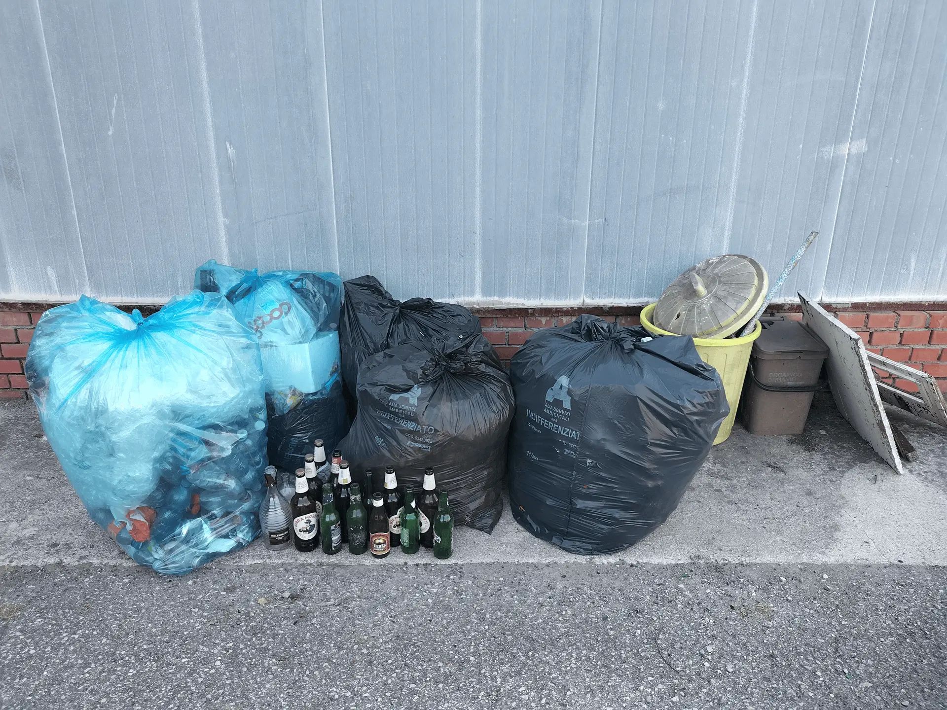 Immagine della giornata