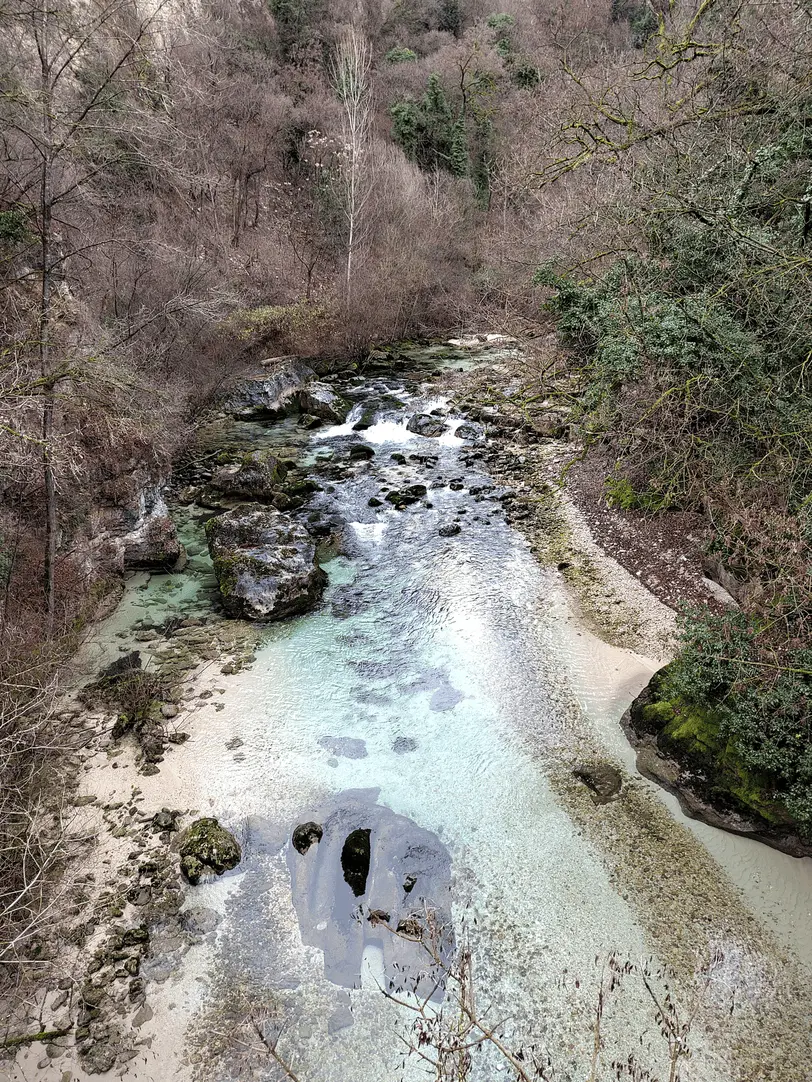 Immagine della giornata