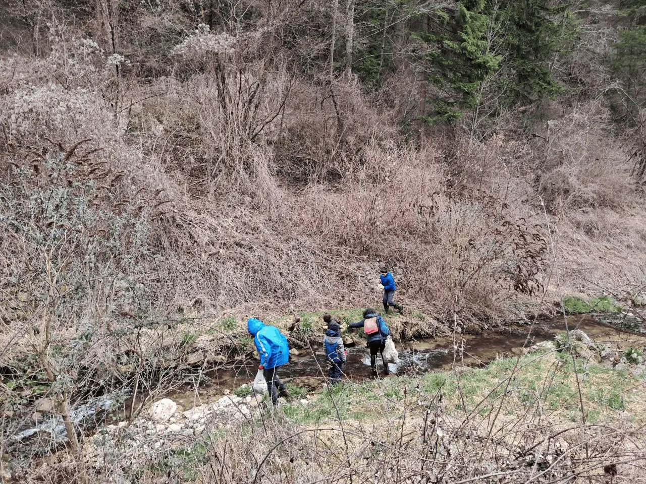 Immagine della giornata