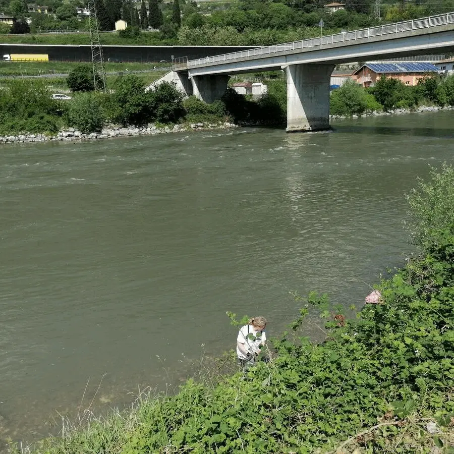 Immagine della giornata