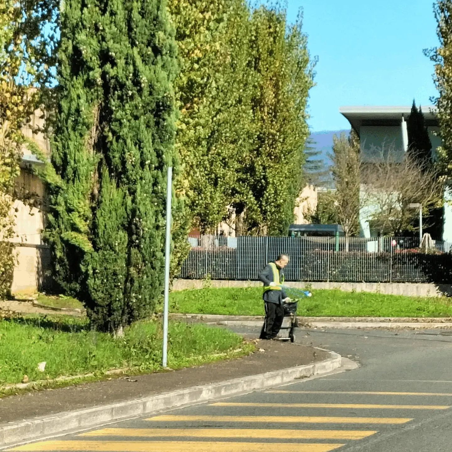 Immagine della giornata