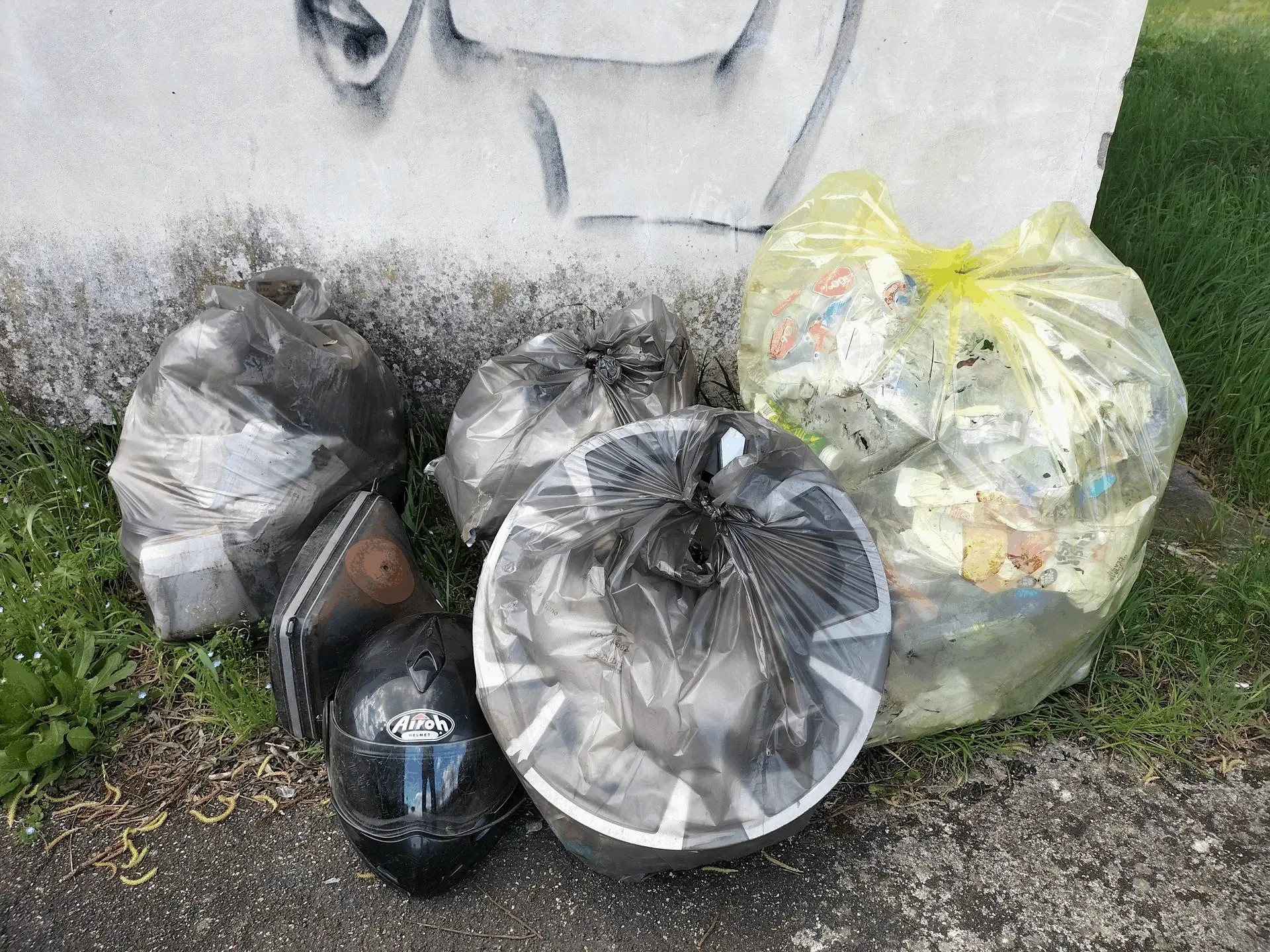 Immagine della giornata
