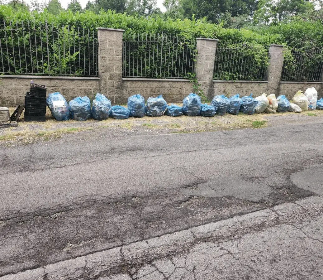 Immagine della giornata