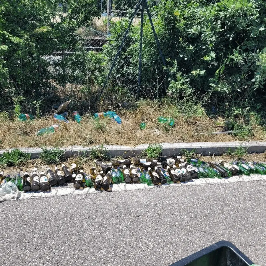 Immagine della giornata