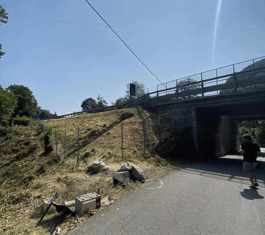 Immagine della giornata