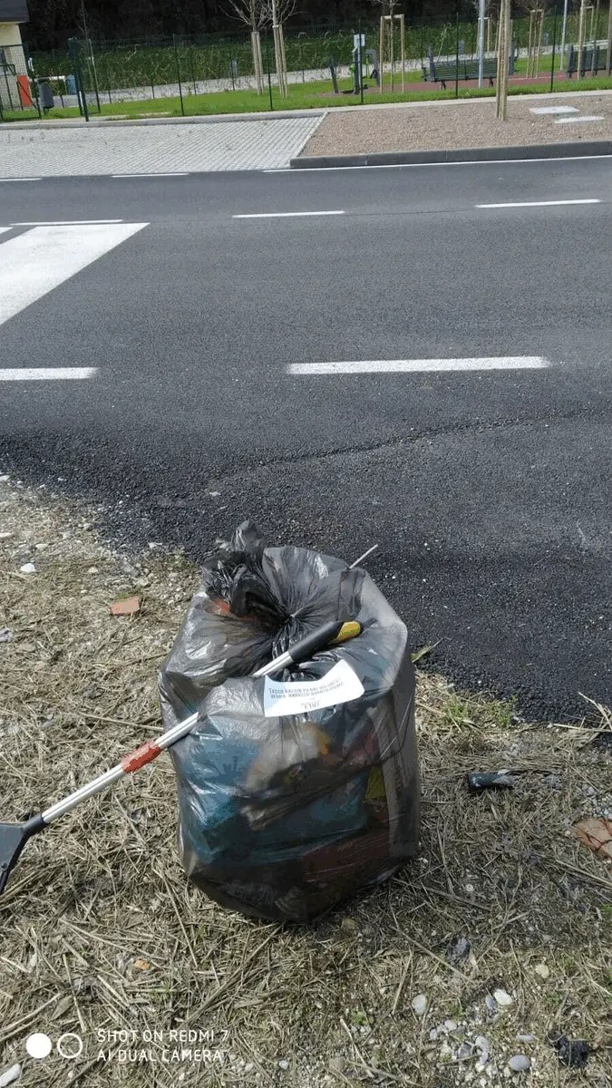 Immagine della giornata