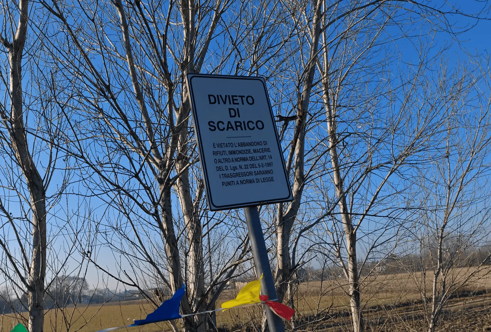 Immagine della giornata
