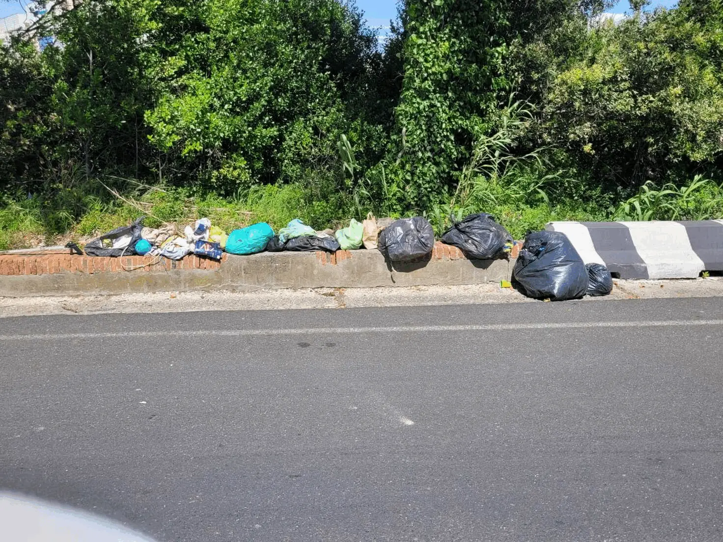 Immagine della giornata