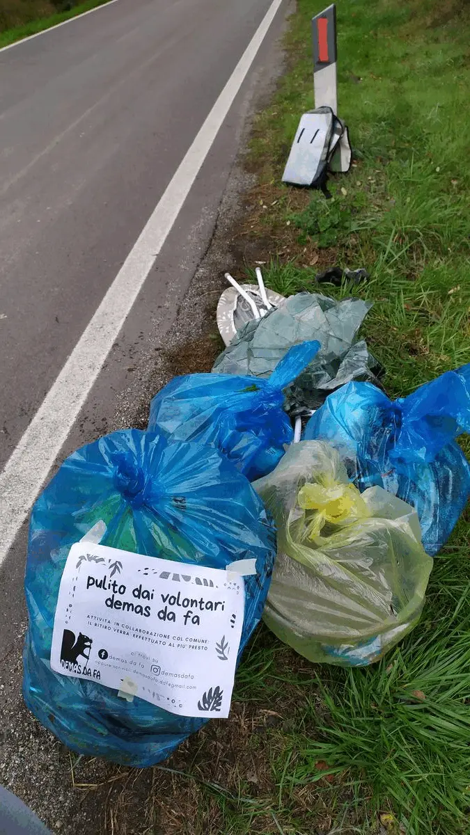 Immagine della giornata