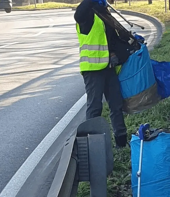 Immagine della giornata