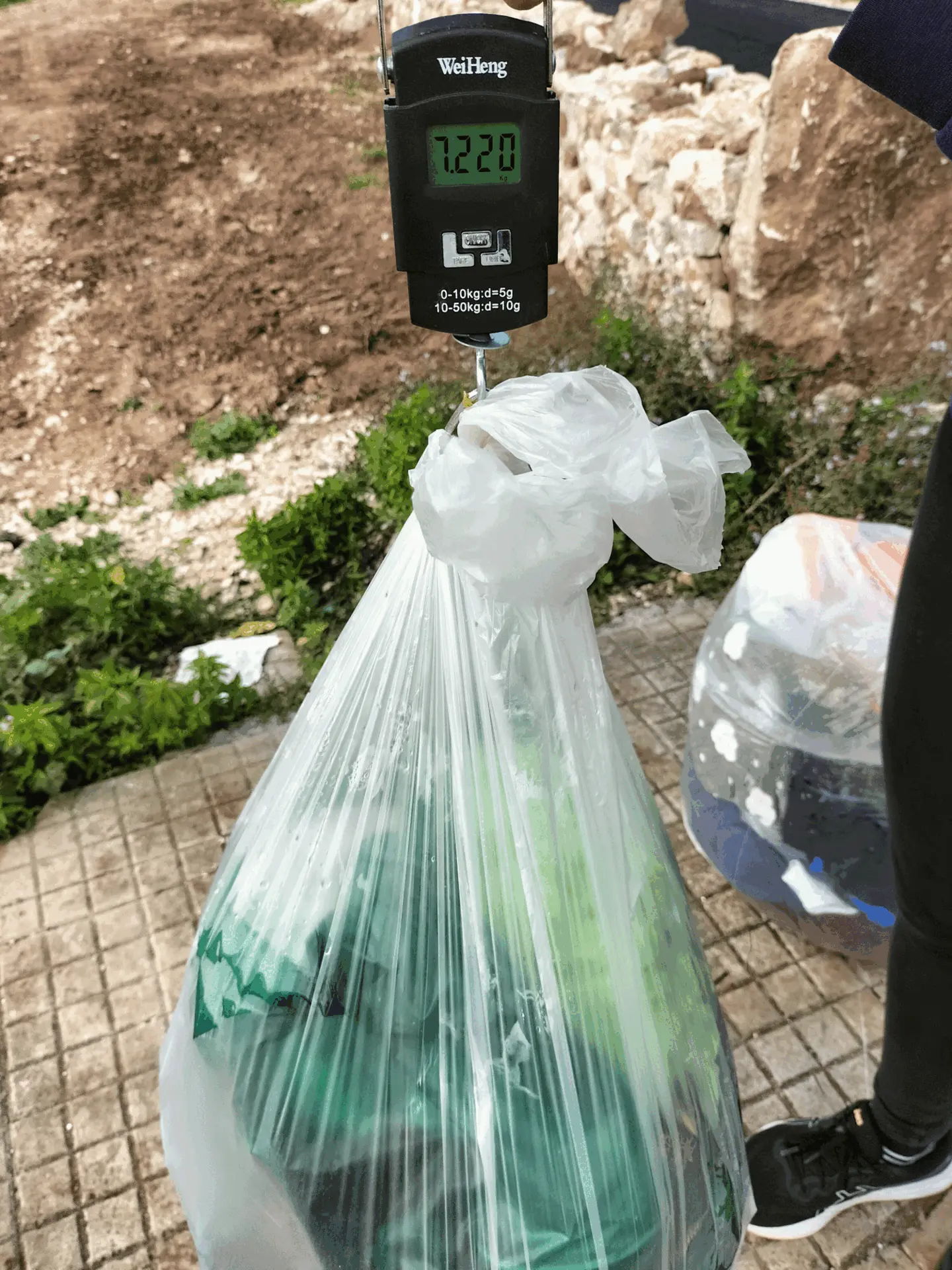 Immagine della giornata