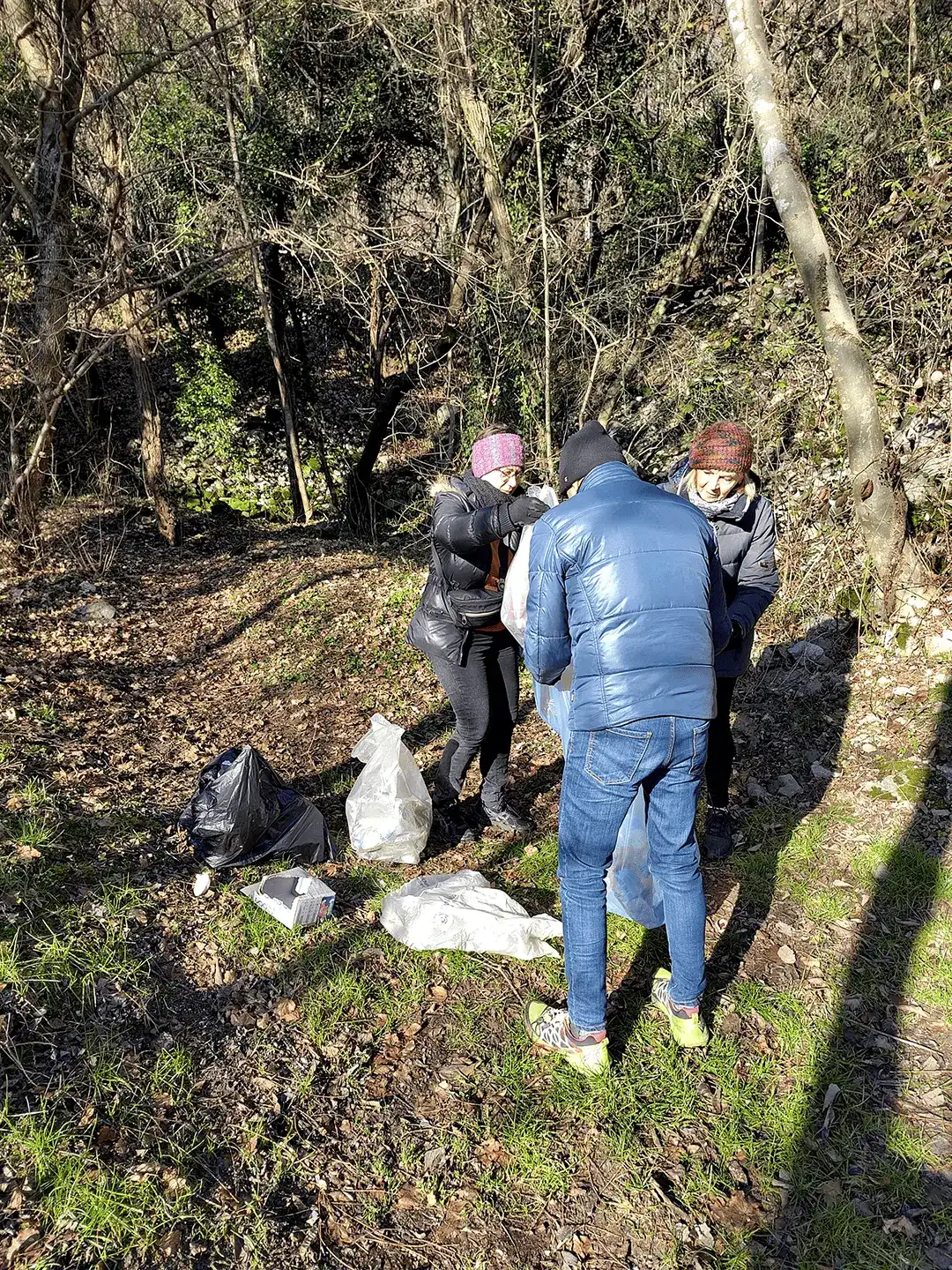 Immagine della giornata