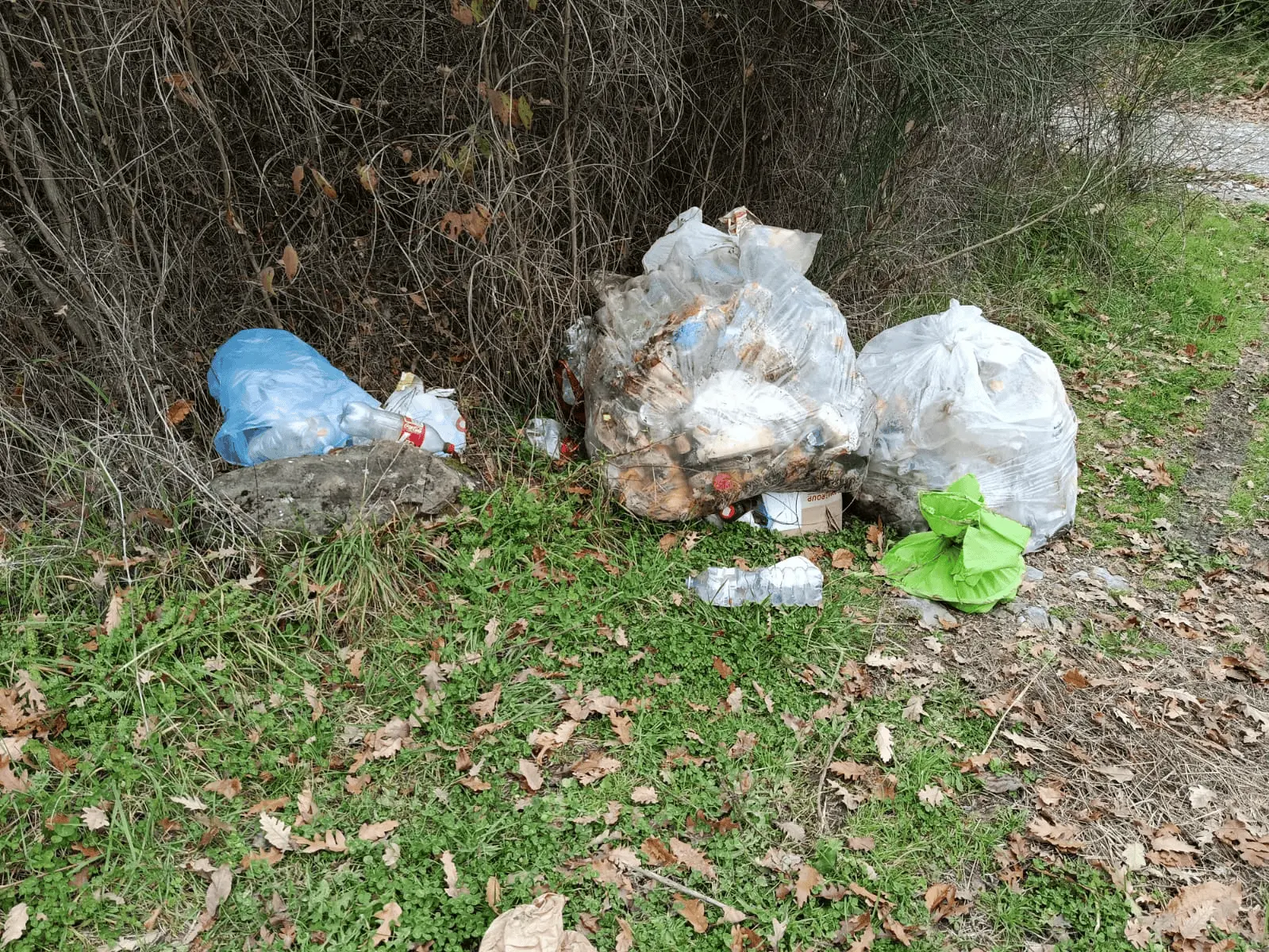 Immagine della giornata