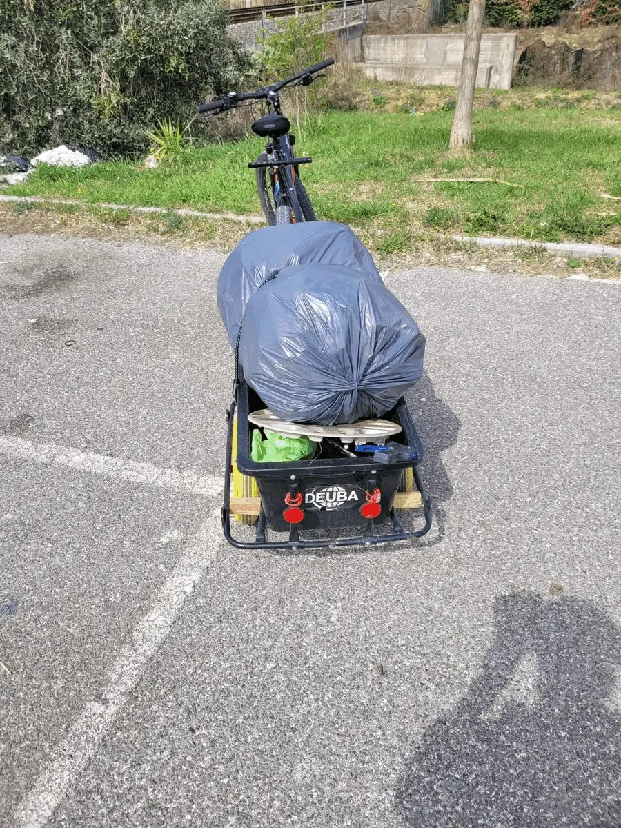 Immagine della giornata