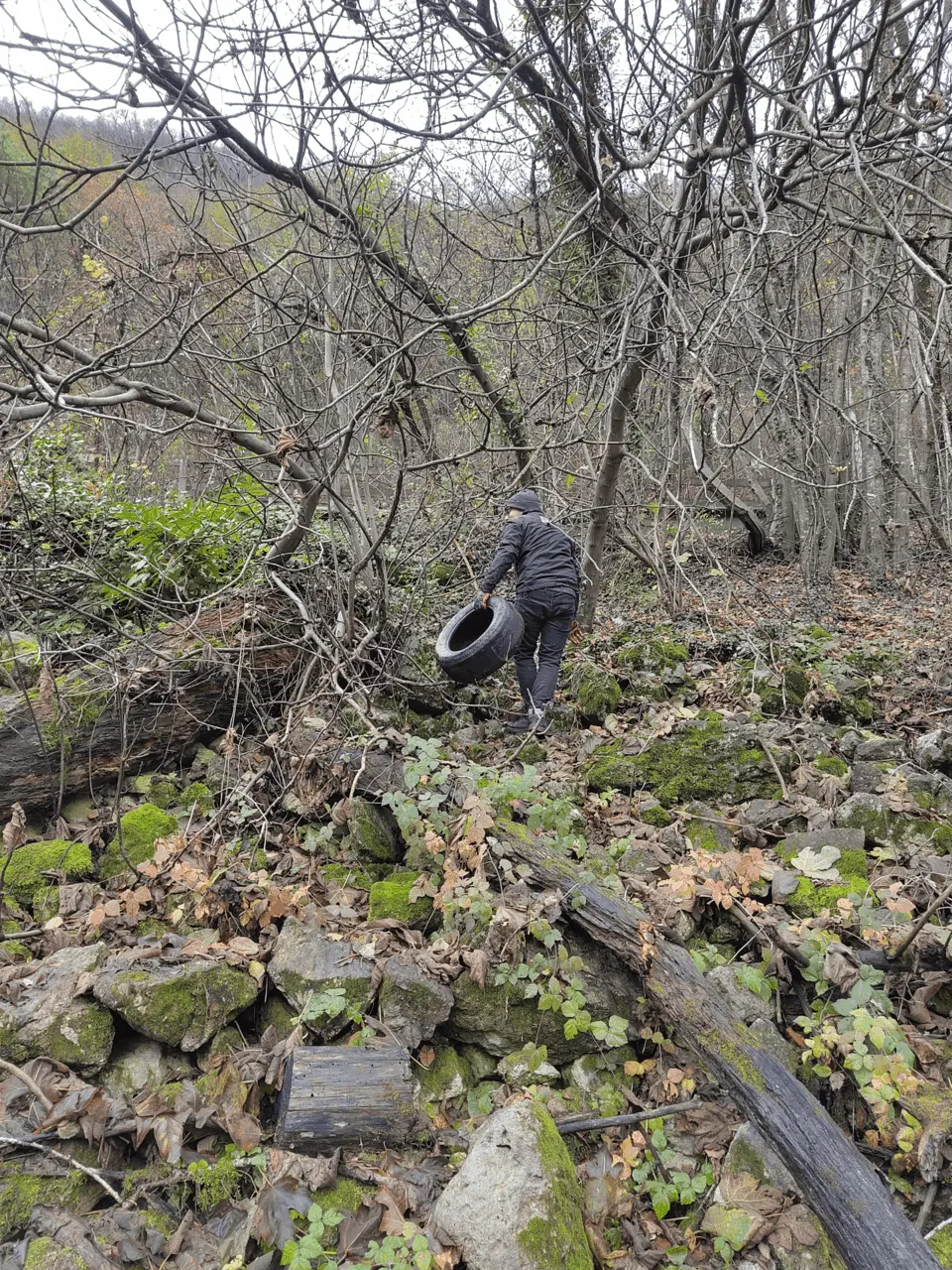 Immagine della giornata