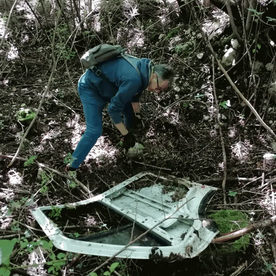 Immagine della giornata