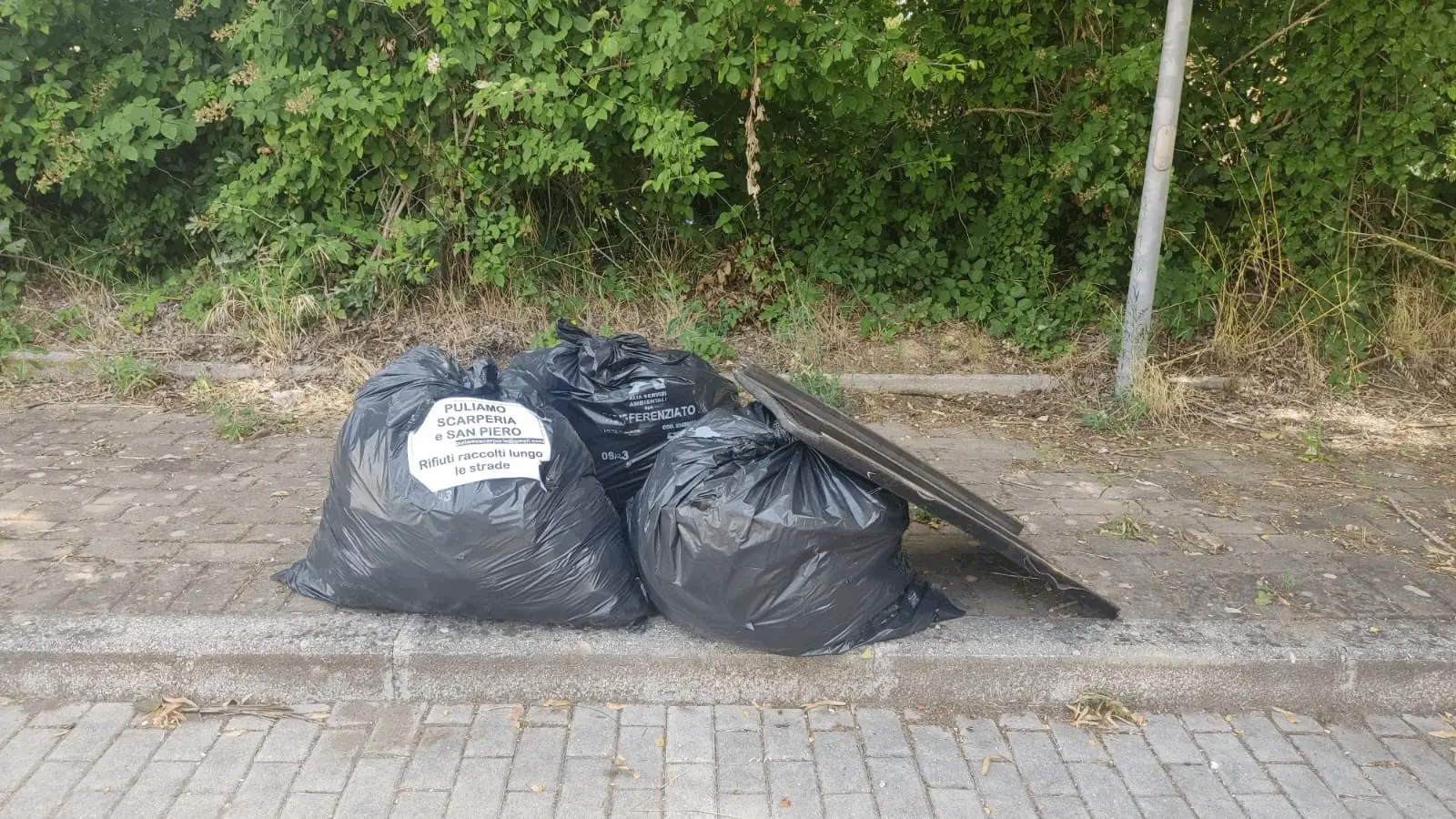 Immagine della giornata
