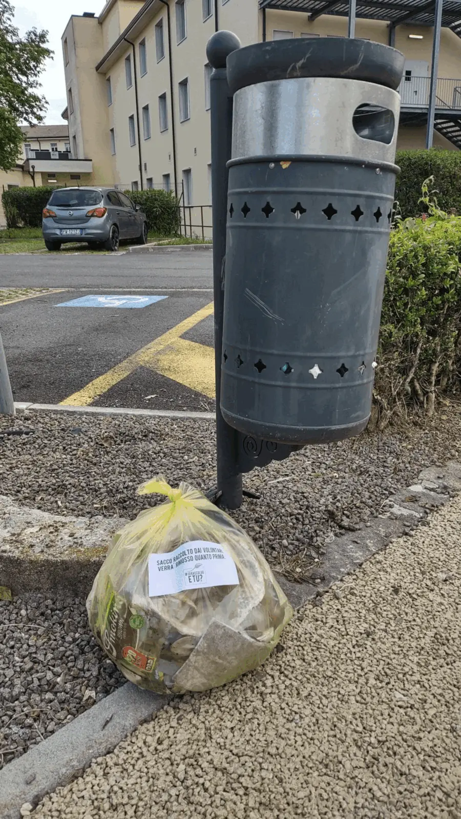 Immagine della giornata